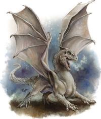 White_dragon_Wyrmling.jpg